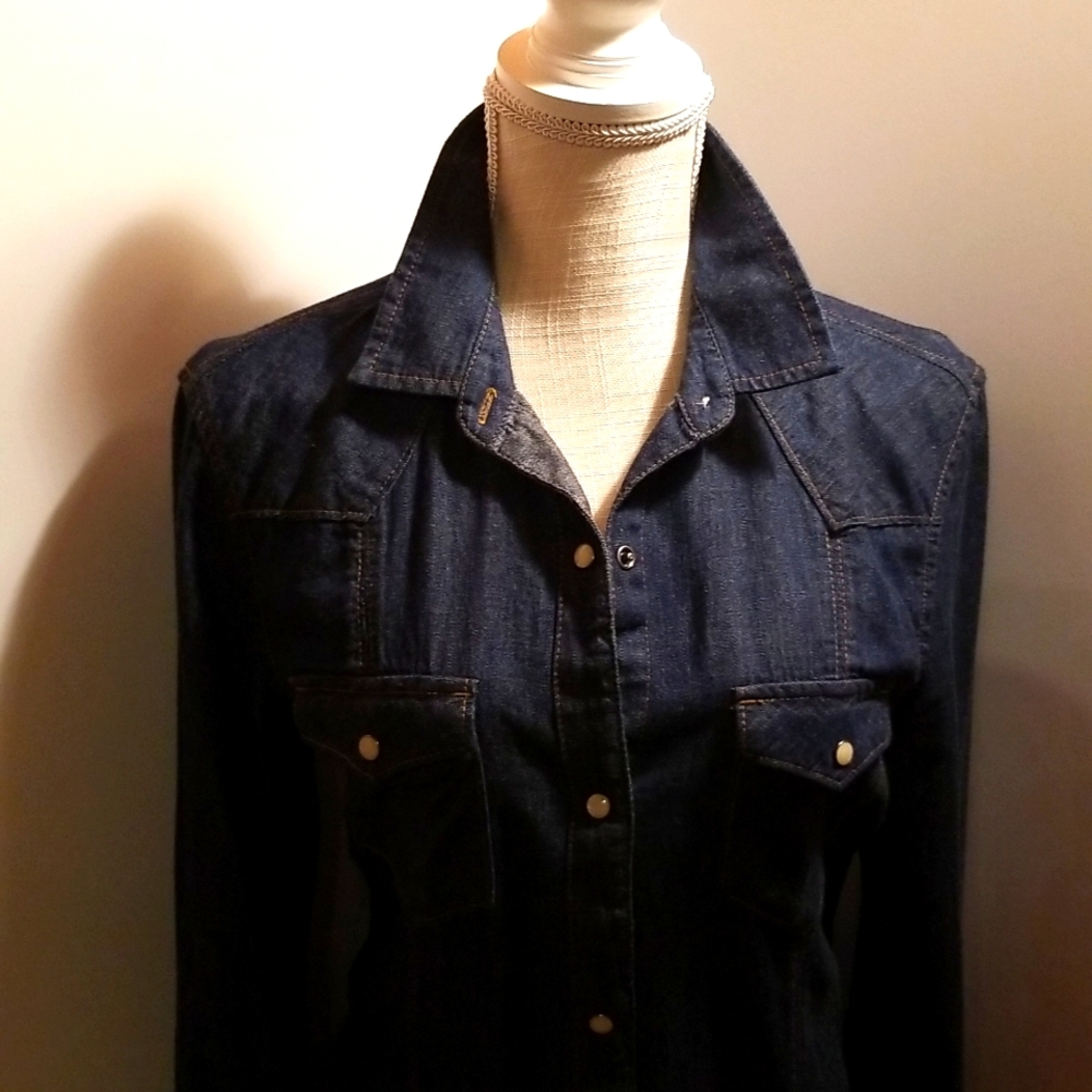 NWT Gap Western Denim Dress
